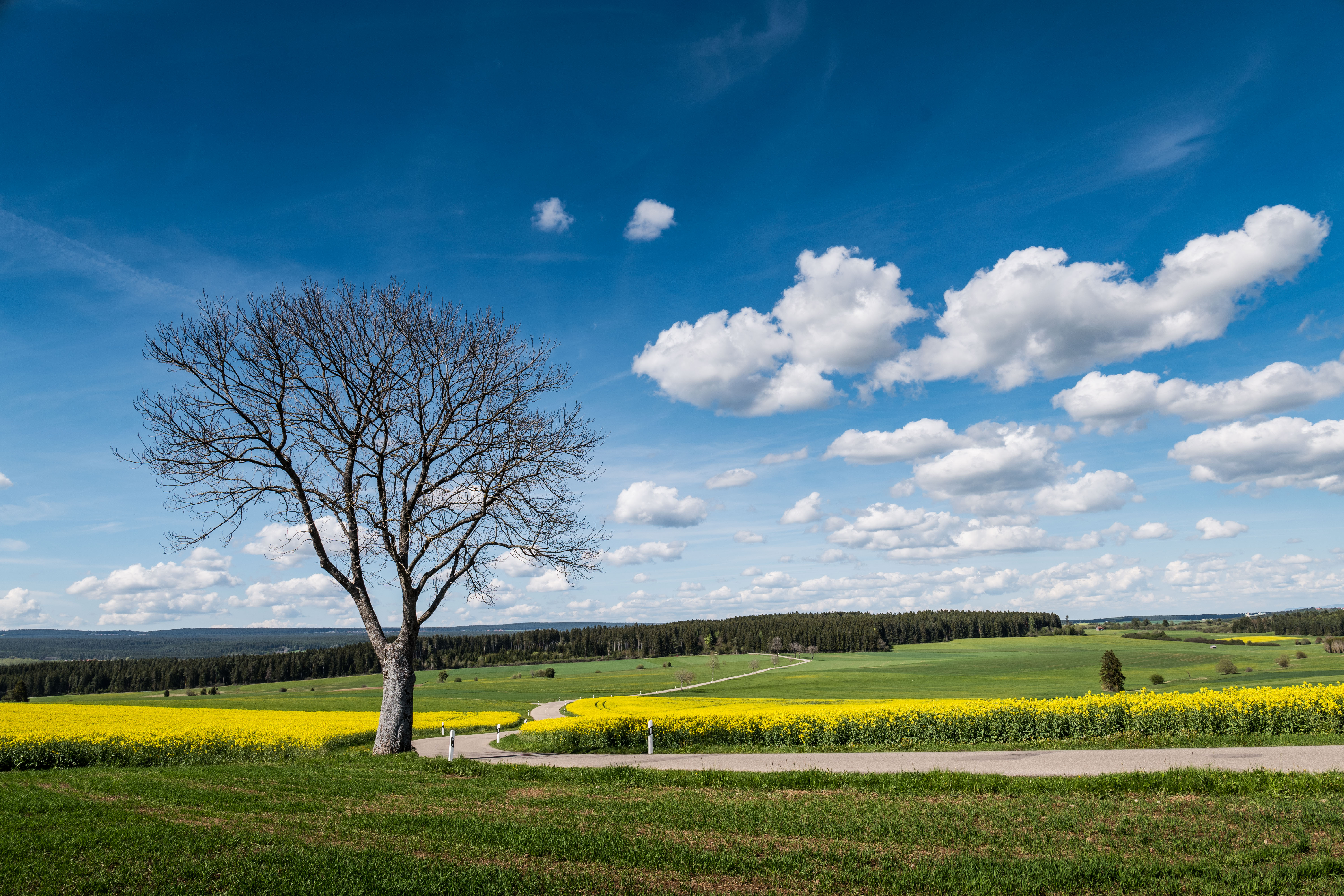 Beautiful colors while heading to Schwarzwald